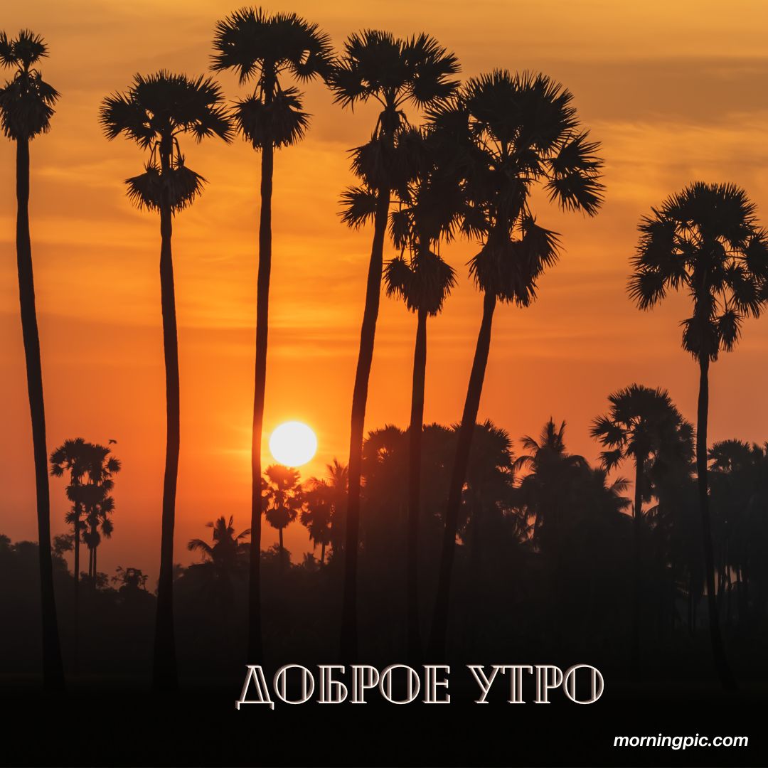 100+ Good Morning in Russian with Beautiful Images! 2 Good Morning in Russian
