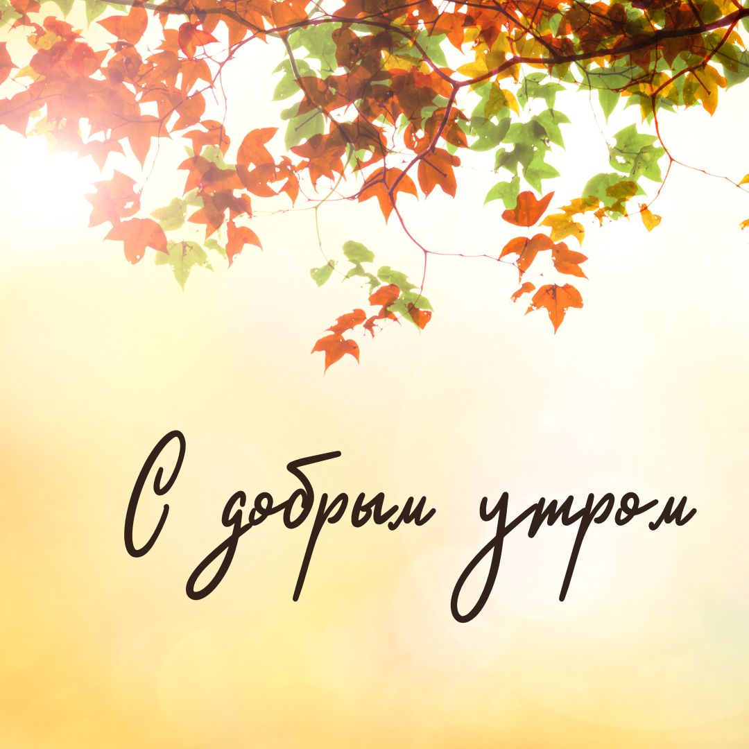 100+ Good Morning in Russian with Beautiful Images! 7 С добрым утром