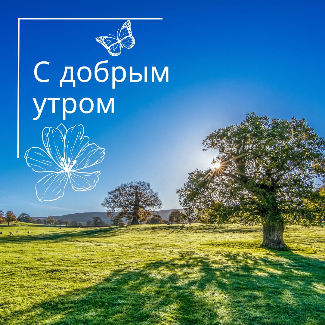 100+ Good Morning in Russian with Beautiful Images! 11 С добрым утром