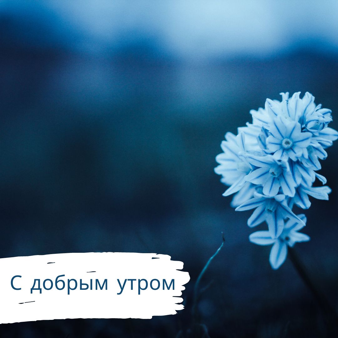 100+ Good Morning in Russian with Beautiful Images! 21 С добрым утром