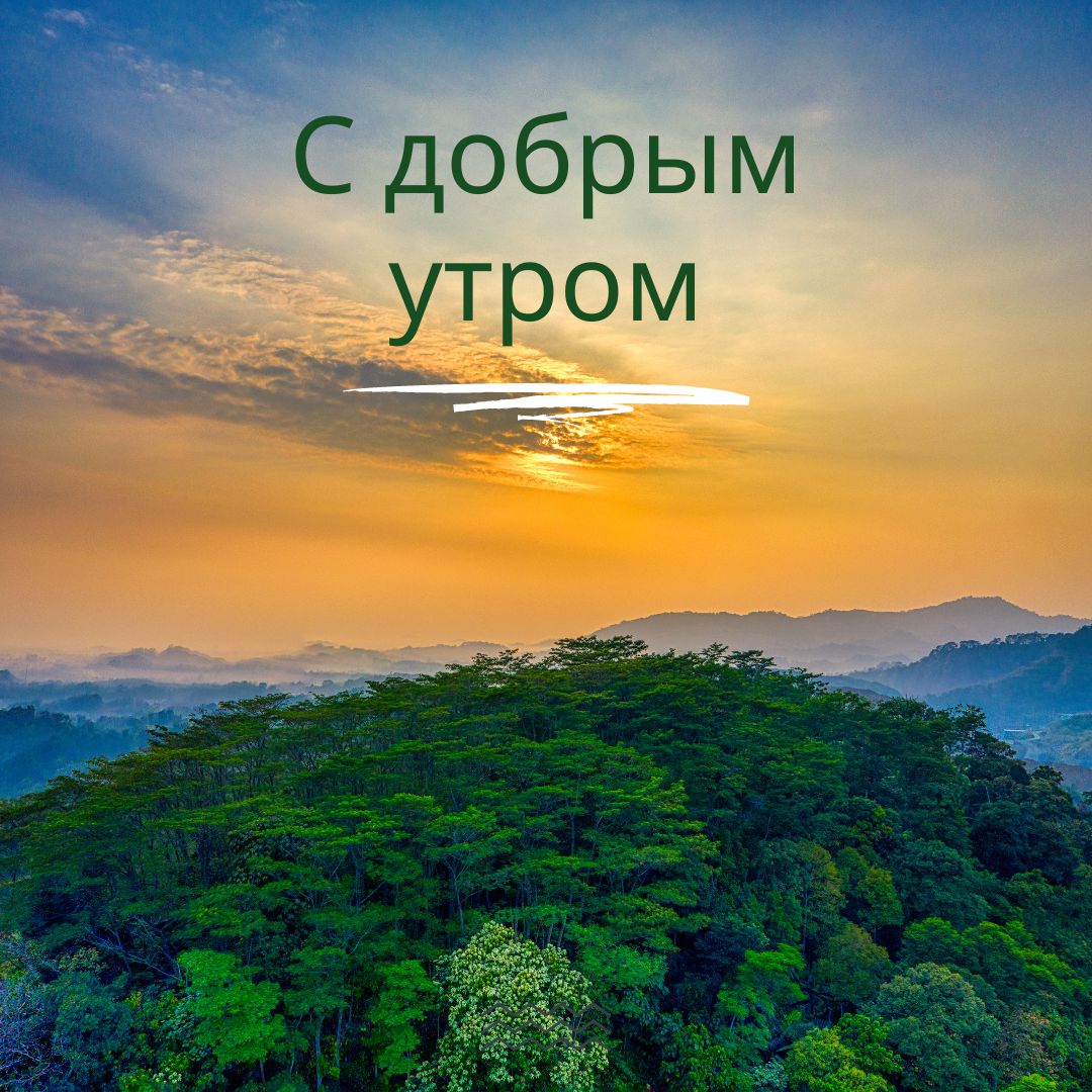100+ Good Morning in Russian with Beautiful Images! 25 С добрым утром