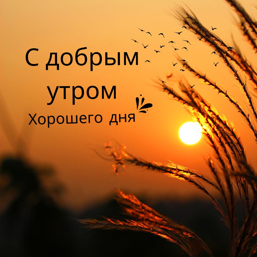 100+ Good Morning in Russian with Beautiful Images! 28 Good Morning in Russian