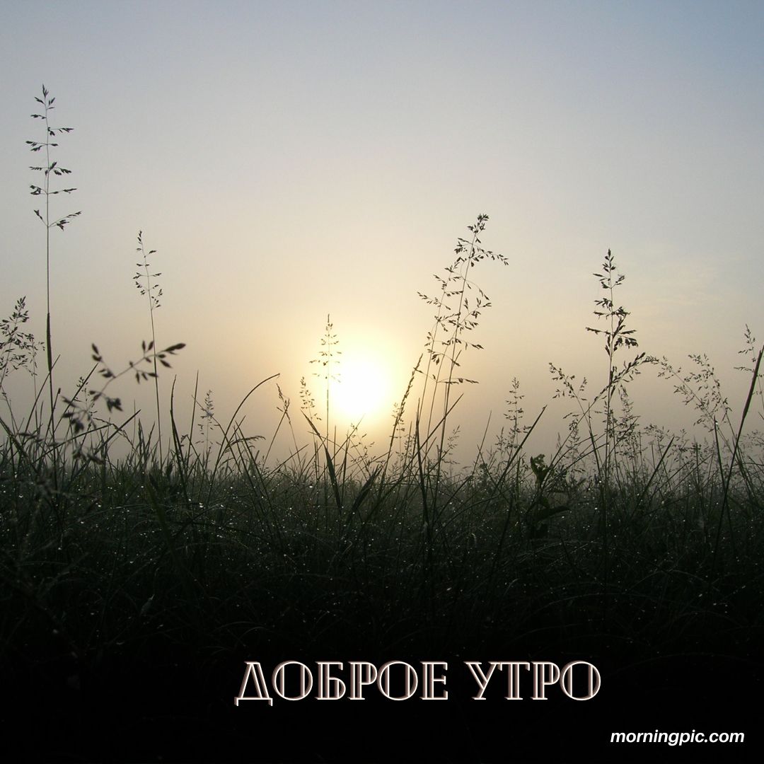 100+ Good Morning in Russian with Beautiful Images! 4 Good Morning in Russian