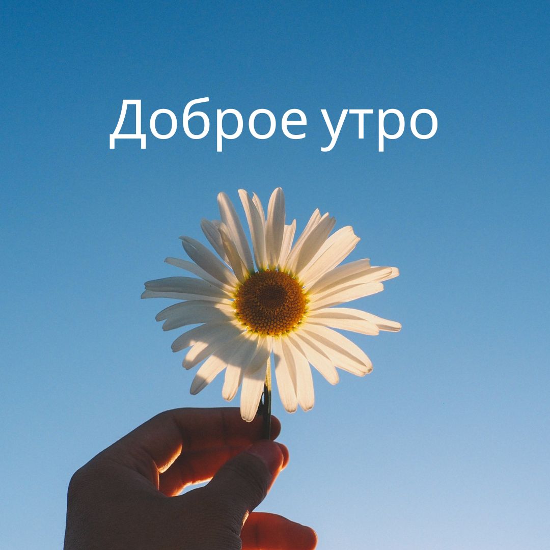 100+ Good Morning in Russian with Beautiful Images! 31 Доброе утро