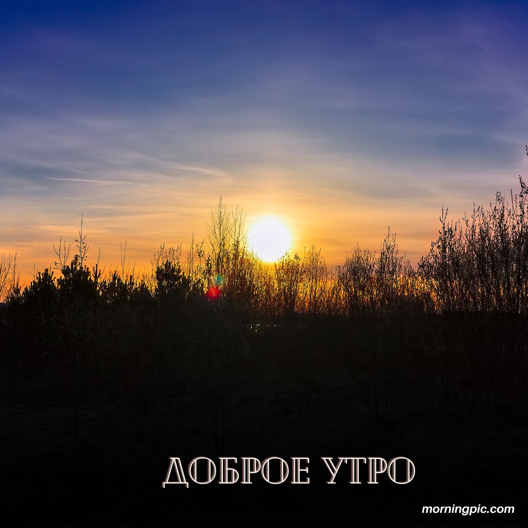 100+ Good Morning in Russian with Beautiful Images! 6 Good Morning in Russian