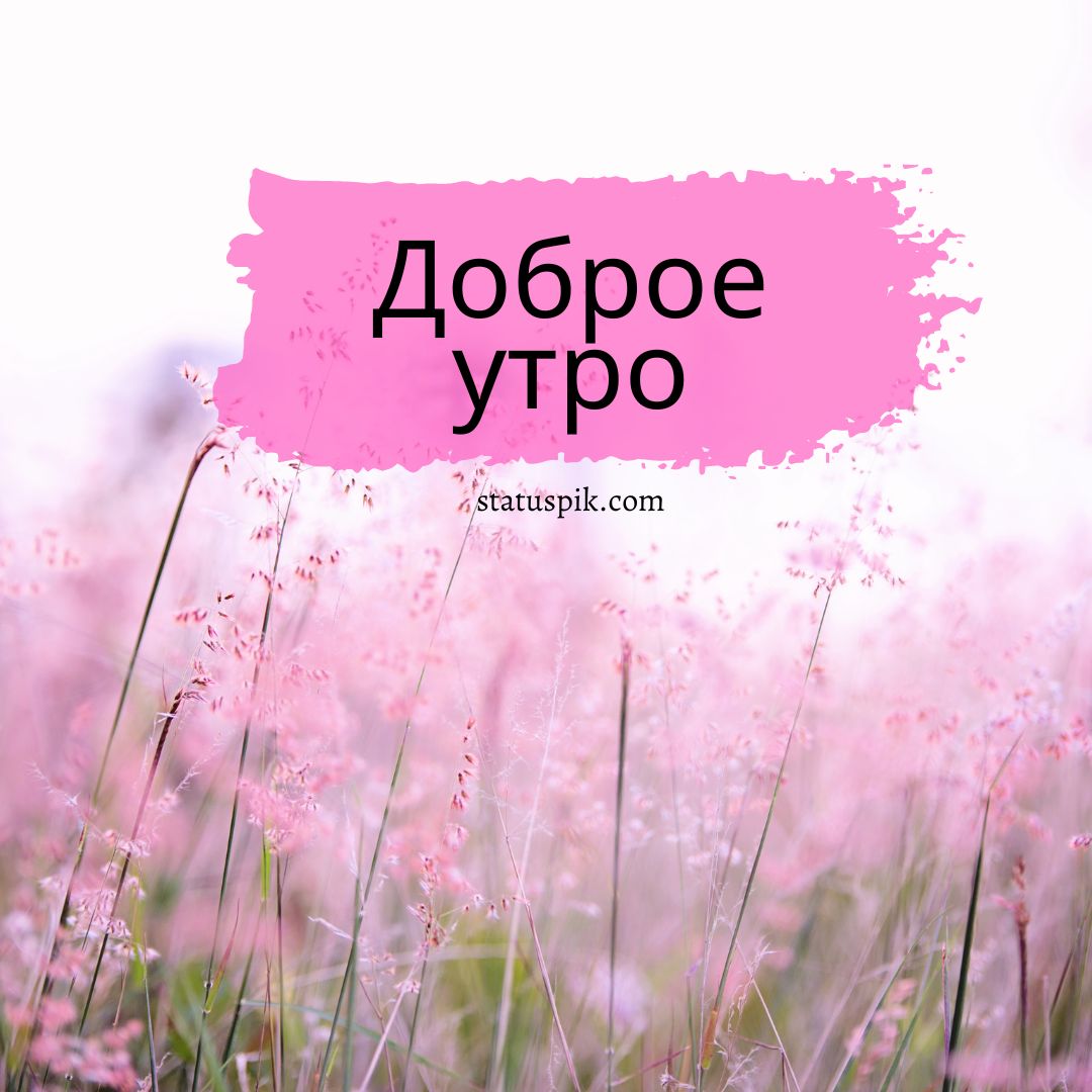 100+ Good Morning in Russian with Beautiful Images! 40 Good Morning in Russian