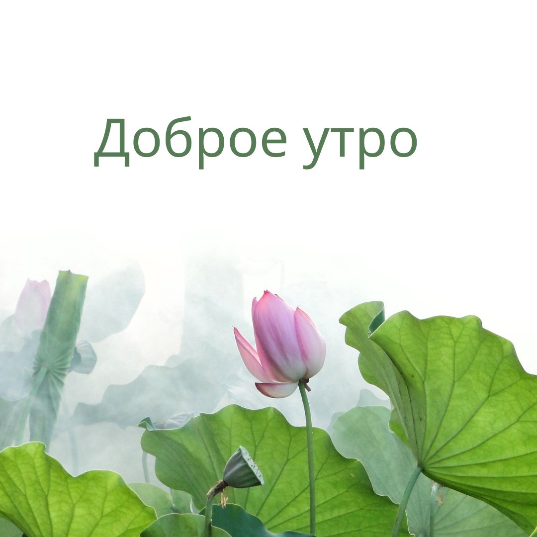 100+ Good Morning in Russian with Beautiful Images! 17 Доброе утро