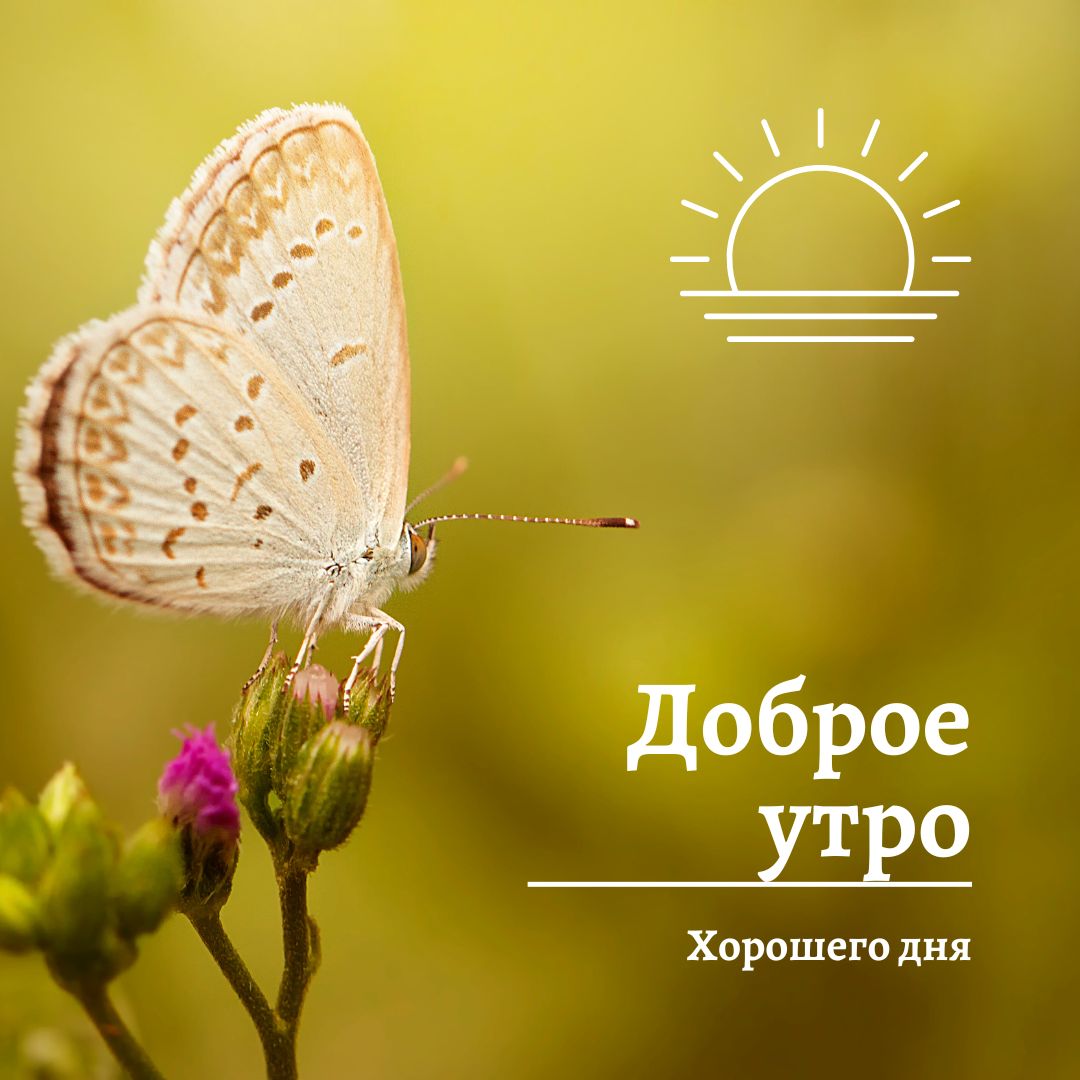 100+ Good Morning in Russian with Beautiful Images! 3 Good Morning in Russian