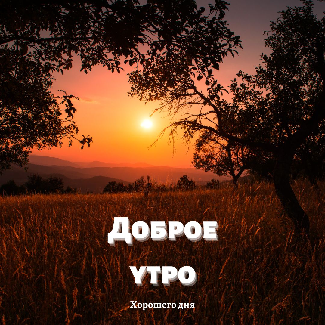 100+ Good Morning in Russian with Beautiful Images! 54 Good Morning in Russian