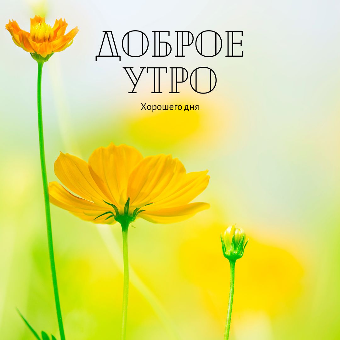 100+ Good Morning in Russian with Beautiful Images! 57 Good Morning in Russian