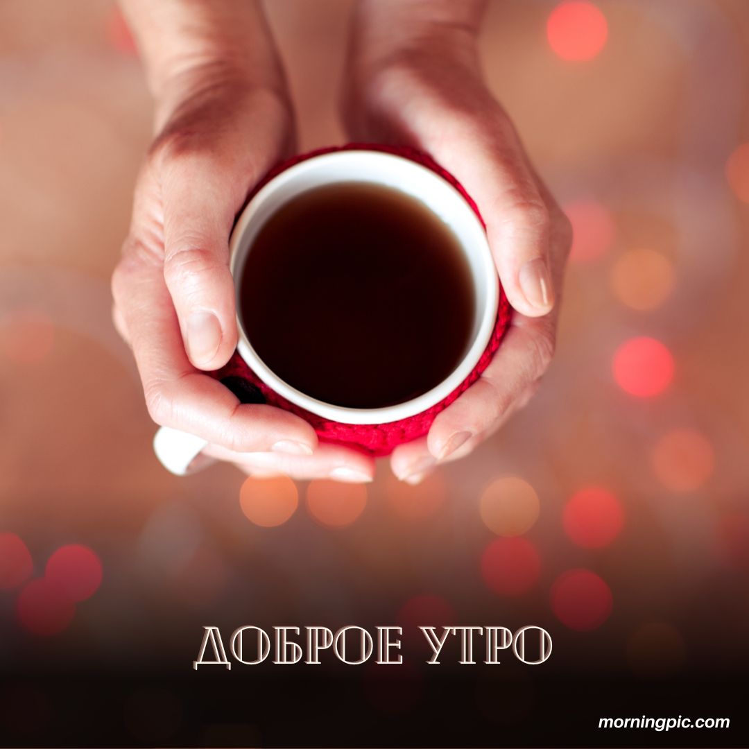 100+ Good Morning in Russian with Beautiful Images! 10 Good Morning in Russian