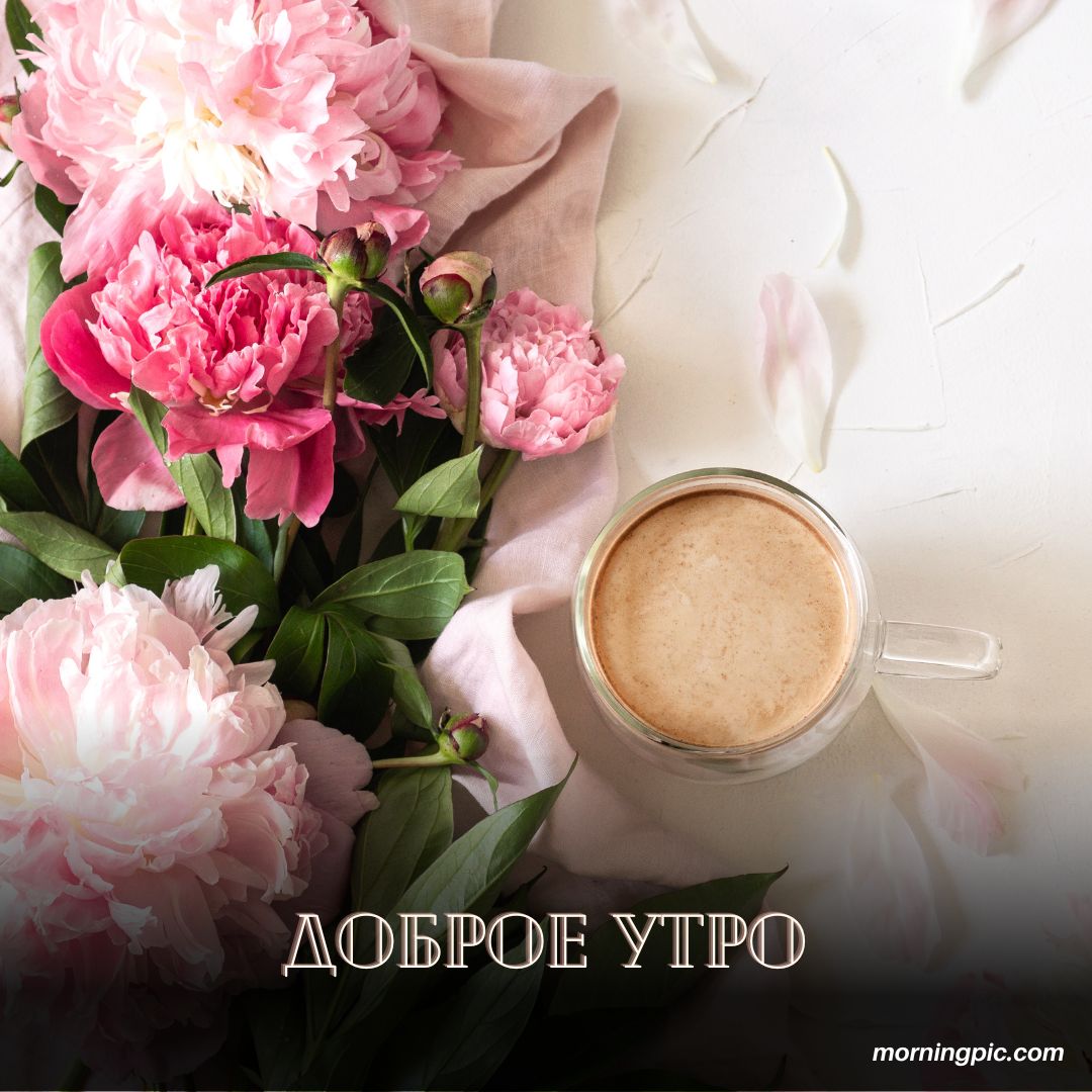 100+ Good Morning in Russian with Beautiful Images! 14 Good Morning in Russian