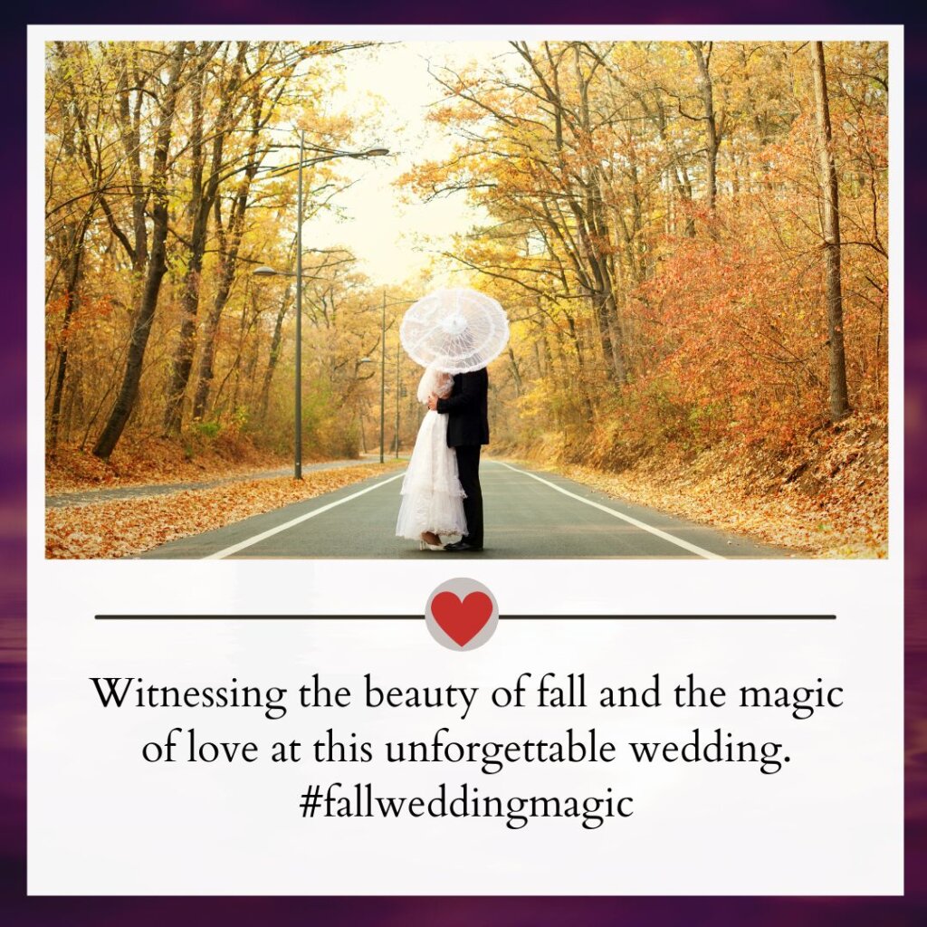 300+ Wedding Guest Captions for Perfect Moments 9 Wedding guest captions