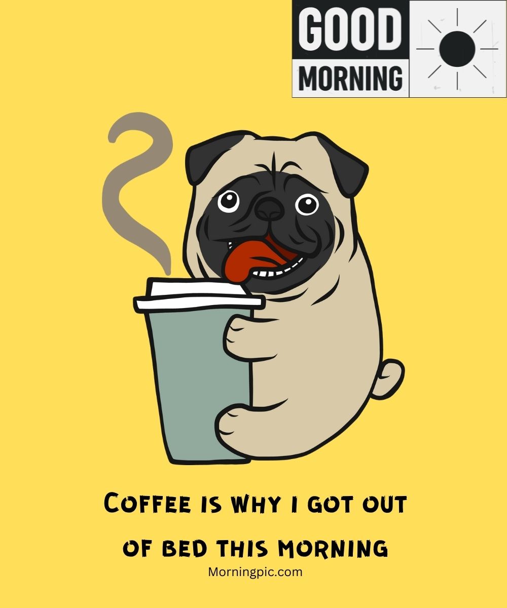 Illustration of a smiling pug holding a steaming coffee cup with the text "Coffee is why I got out of bed this morning" below. In the top right corner, it says "GOOD MORNING" with an image of a sun. The background is yellow. 