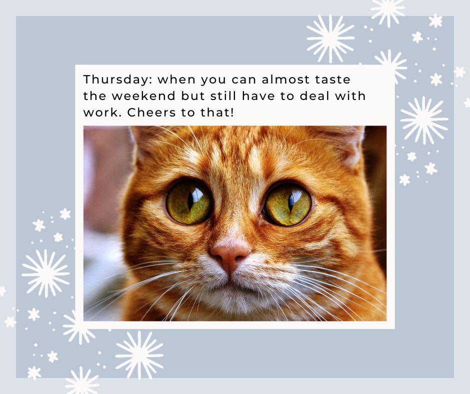 funny happy thursday images