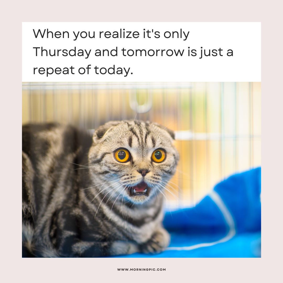 funny happy thursday images
