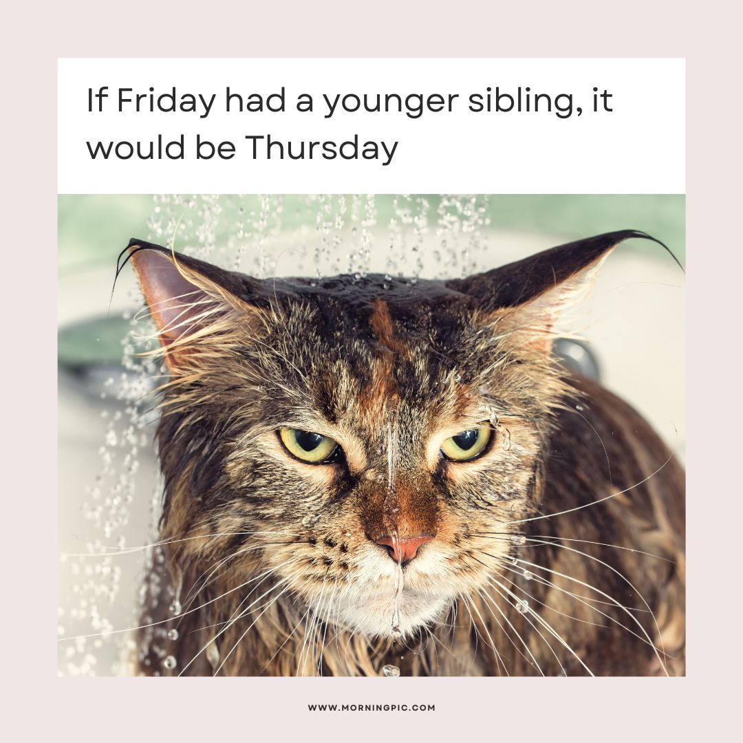 funny happy thursday images