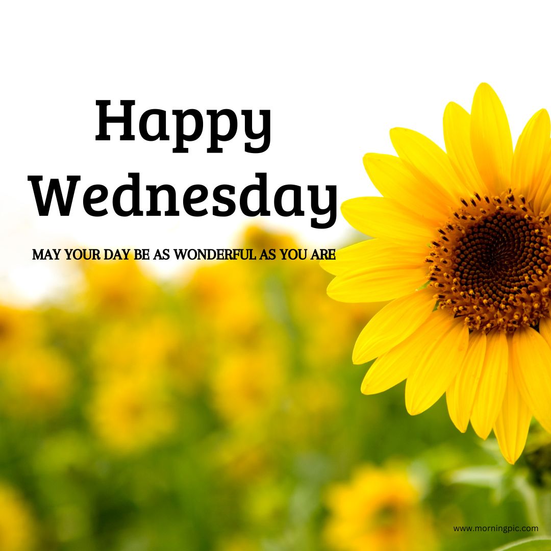 happy wednesday images