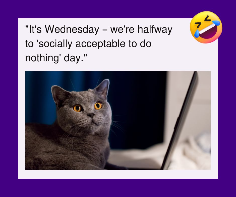 happy wednesday images funny