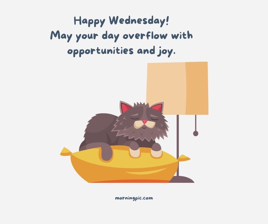 happy wednesday images with cats