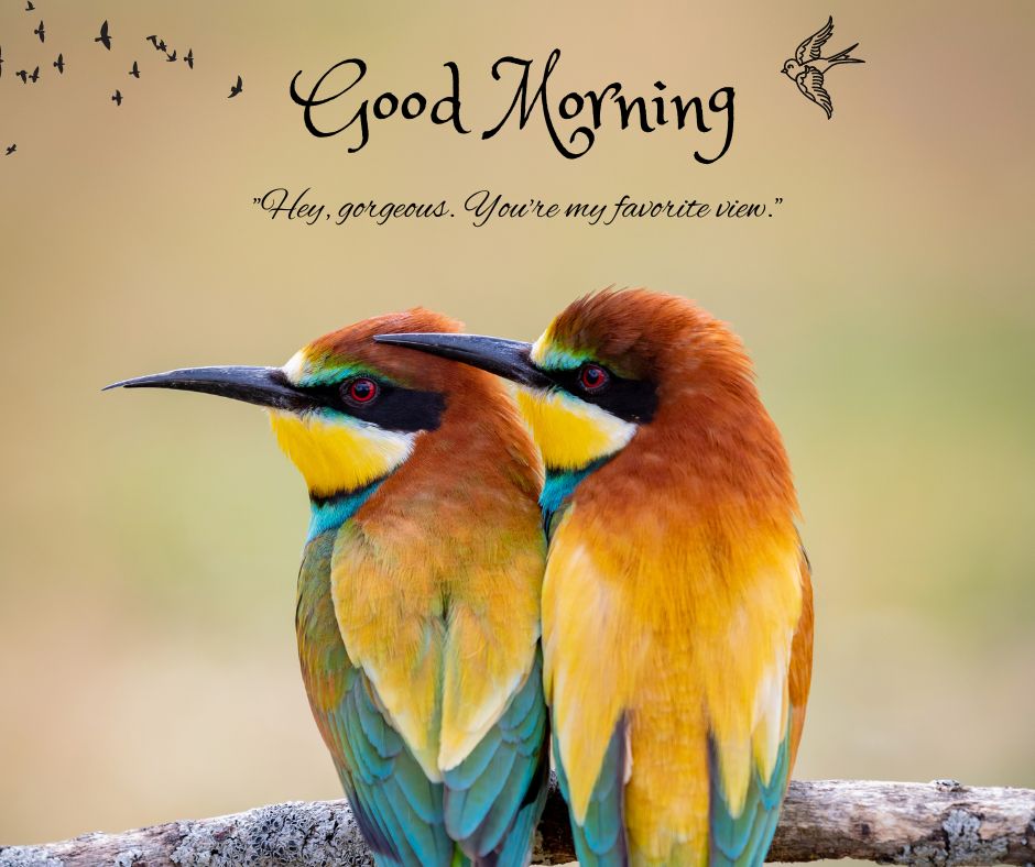 good morning love images download for whatsapp