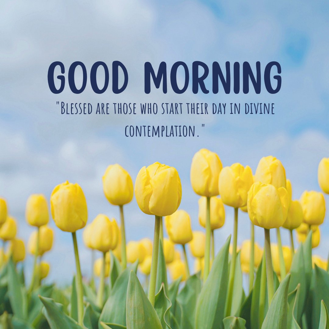 Good morning blessings image featuring vibrant yellow tulips under a cloudy sky with a quote about the blessings of starting the day in divine contemplation.