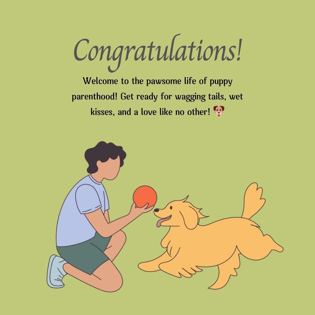 Creative Dog Congratulations Messages for Cards and Social Media