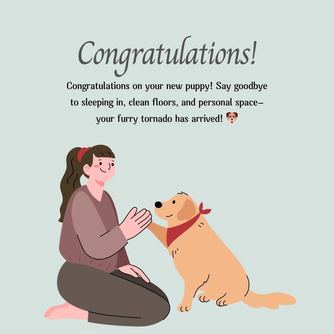 Funny Dog Congratulations Messages to Celebrate the Joyful Chaos