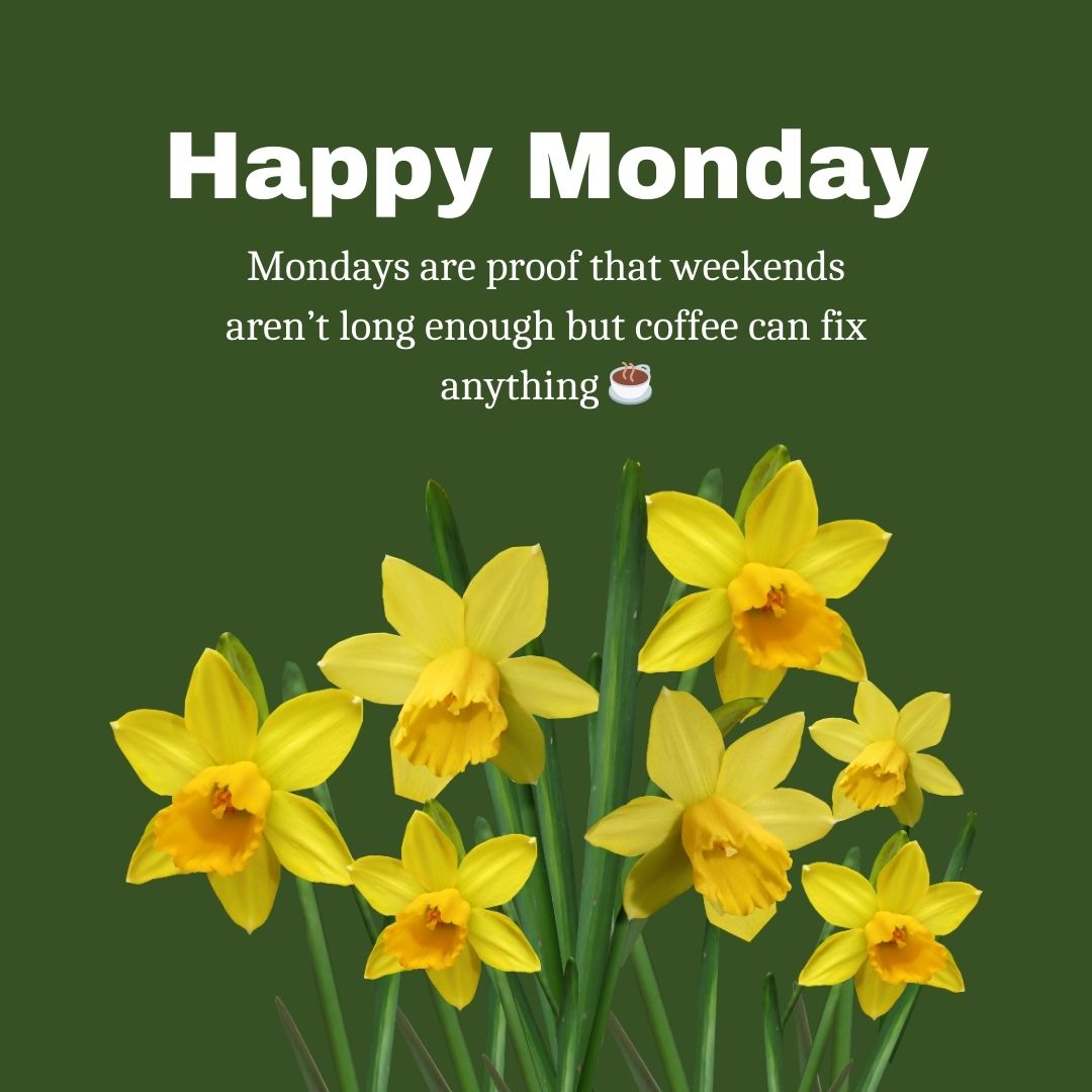 Funny Happy Monday Messages