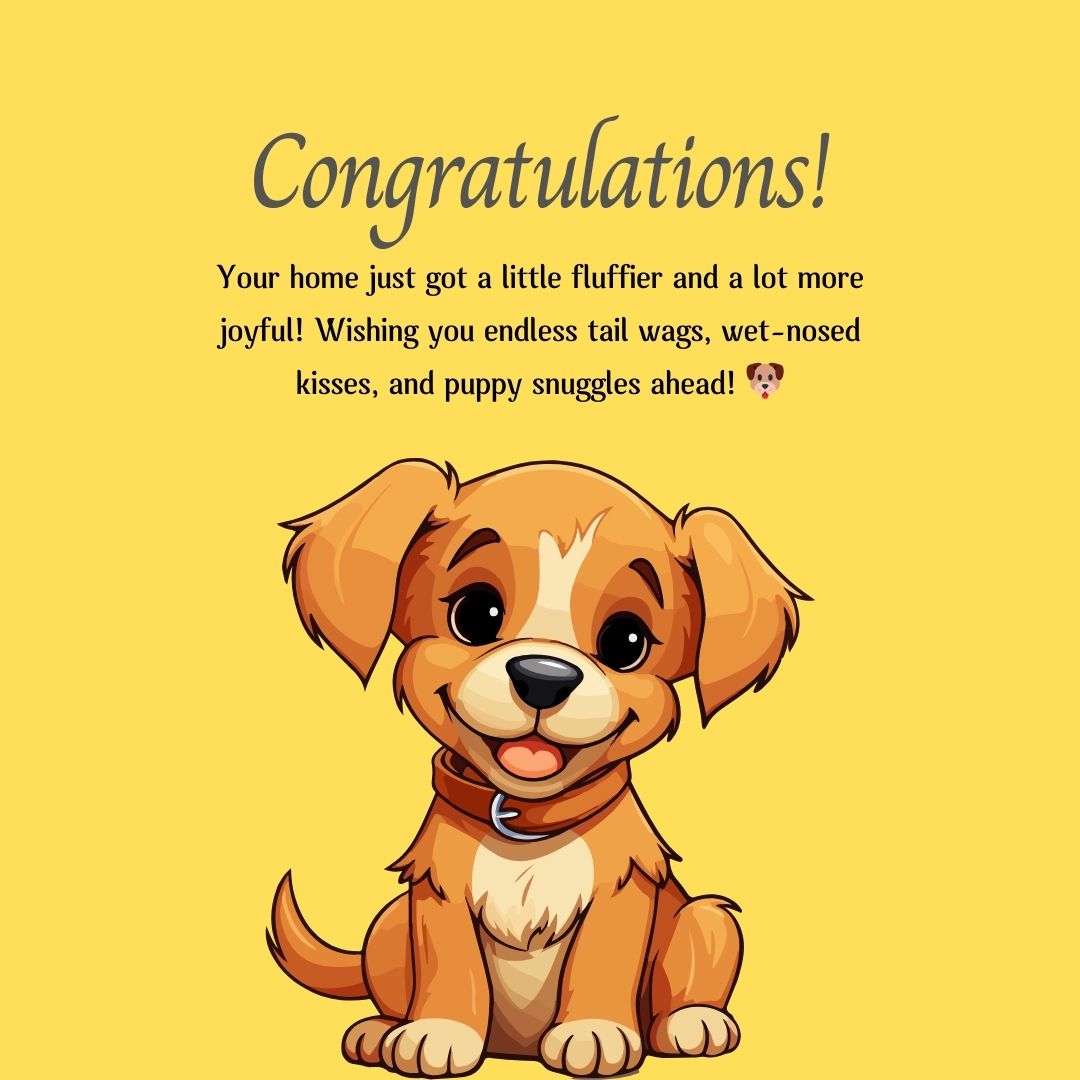 Heartfelt Dog Congratulations Messages to Welcome a New Puppy