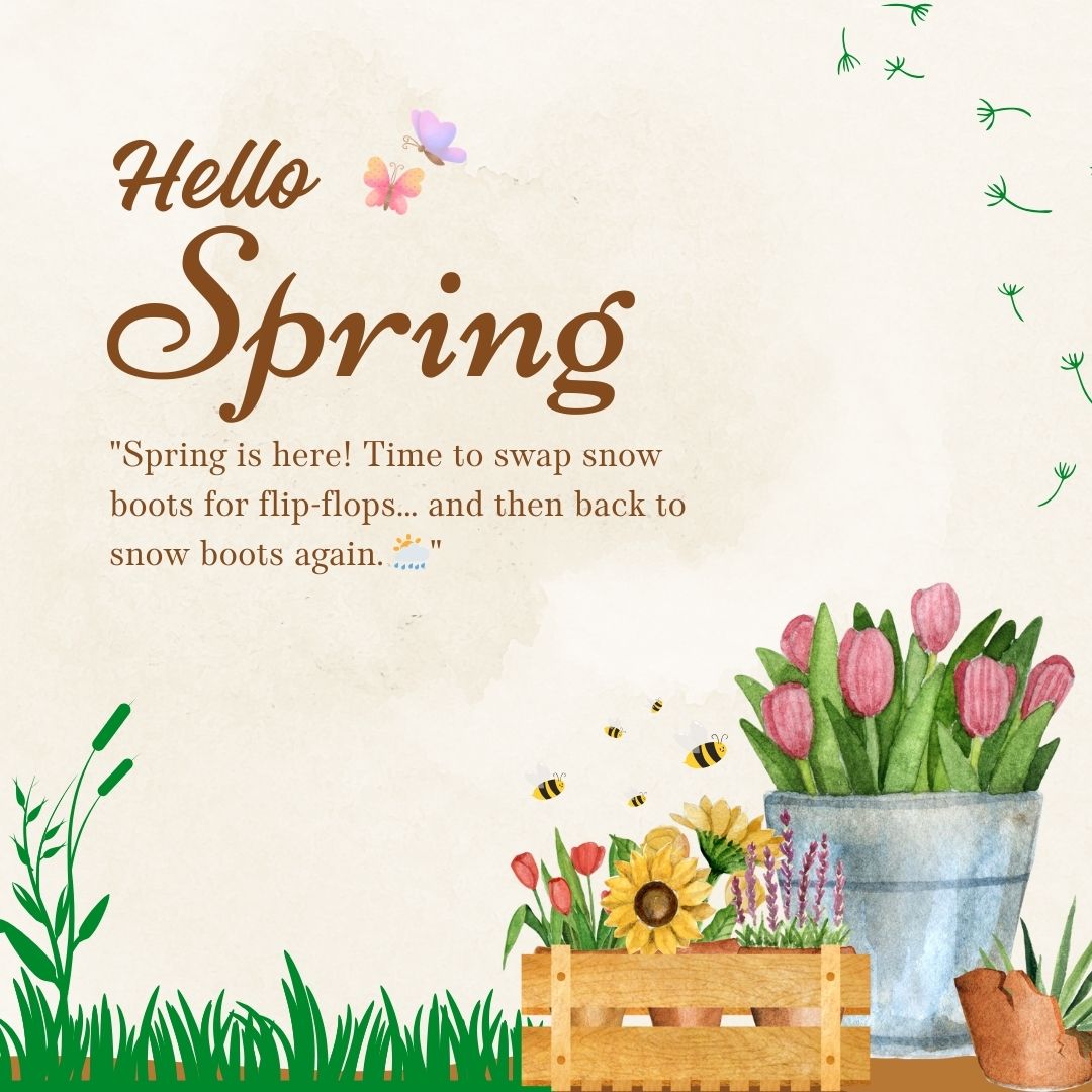 Hilarious Happy First Day of Spring Funny Quotes to Brighten Your Day