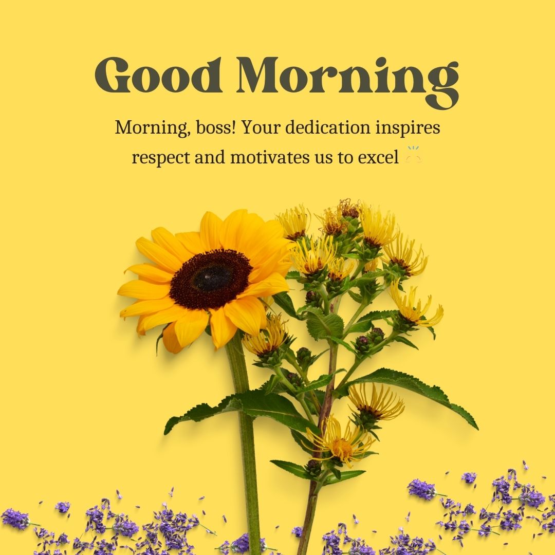 Professional Good Morning Messages for Boss