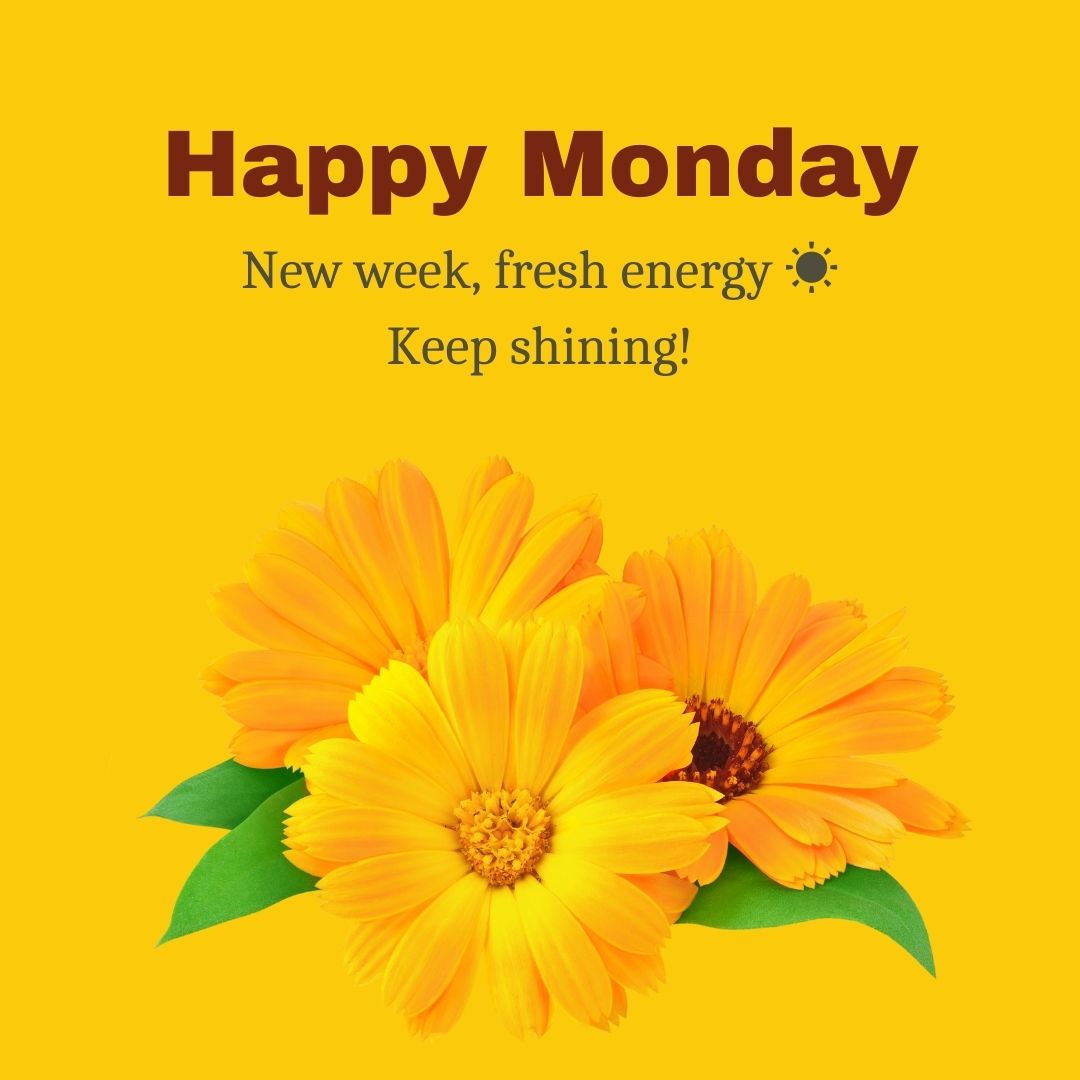 Short and Cheerful Happy Monday Messages