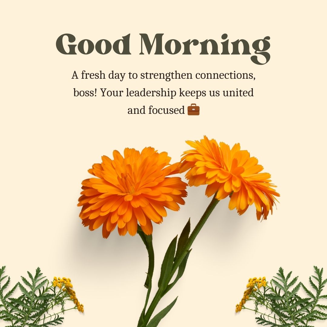 Thoughtful Good Morning Messages for Boss