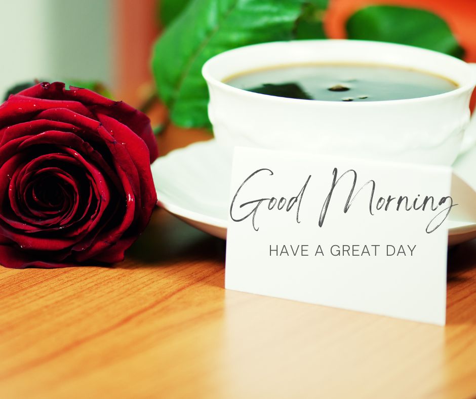 Good Morning Rose Images for Girlfriend & Love