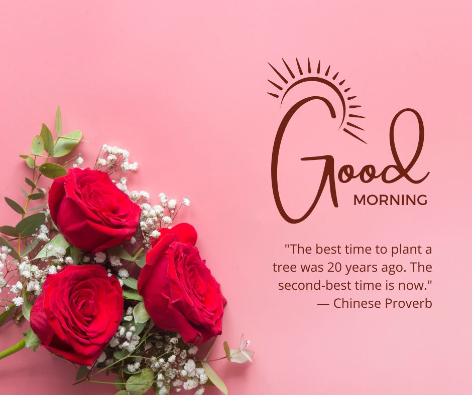 Good Morning Rose Images with Inspirational Quotes