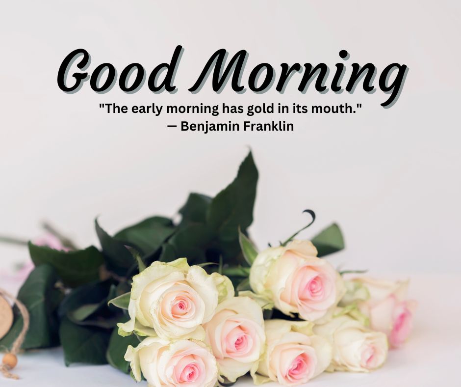 Good Morning Rose Images with Quotes