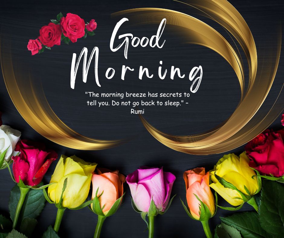 Good Morning Rose Images with Quotes