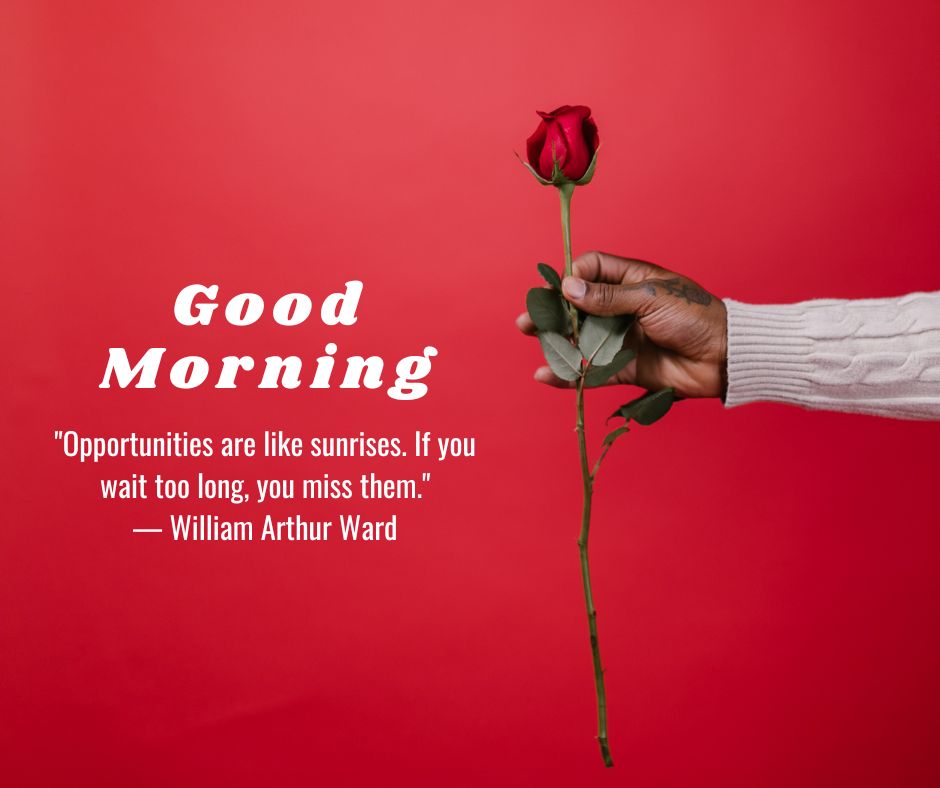 Good Morning Rose Images with Quotes