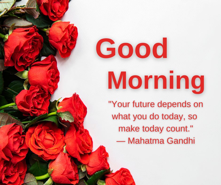 Good Morning Rose Images with Quotes