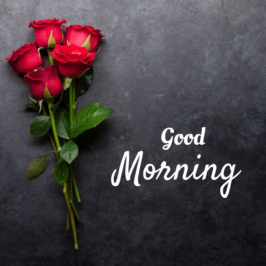 Romantic Good Morning Rose Images