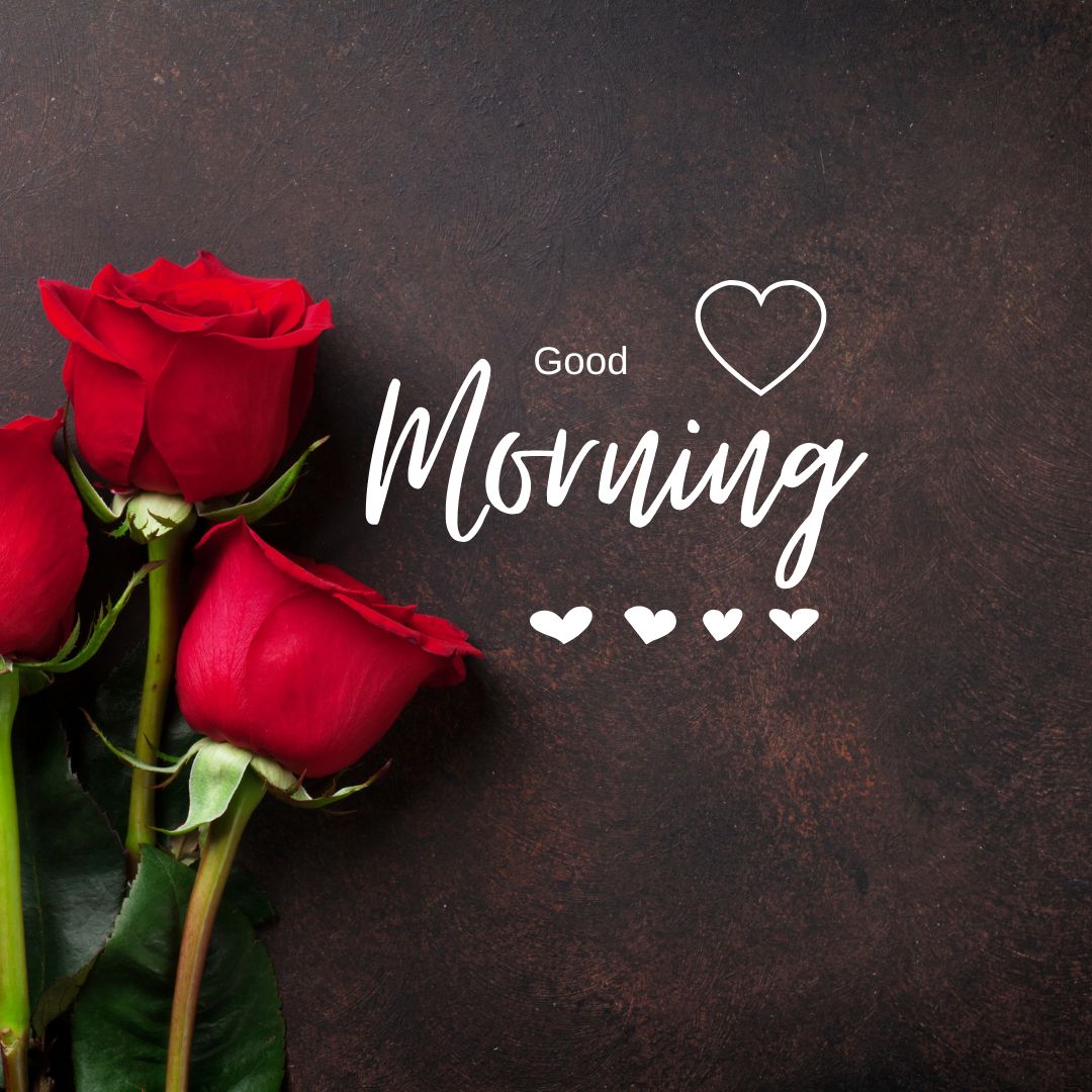 Romantic Good Morning Rose Images