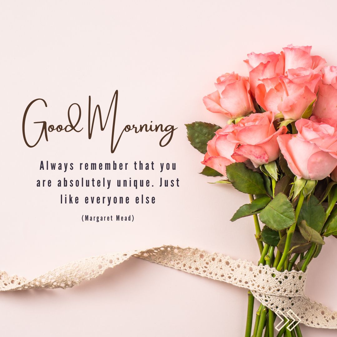Romantic Good Morning Rose Images