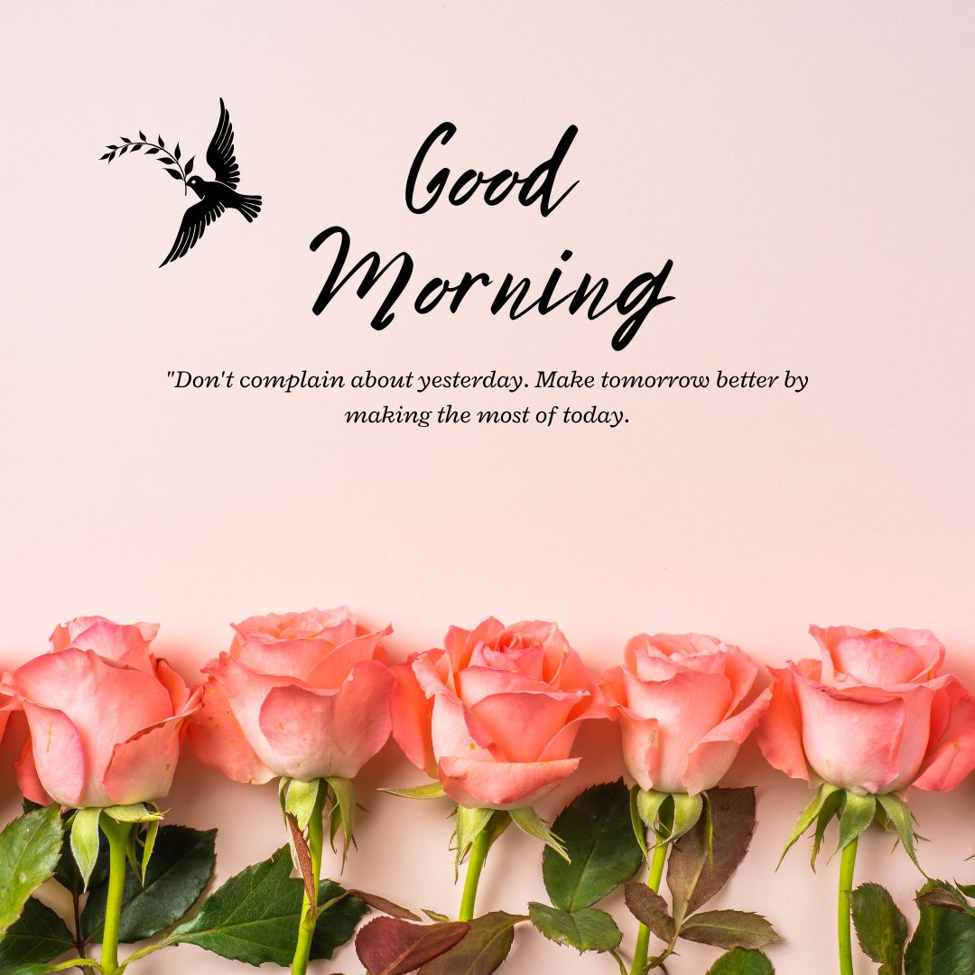 Romantic Good Morning Rose Images