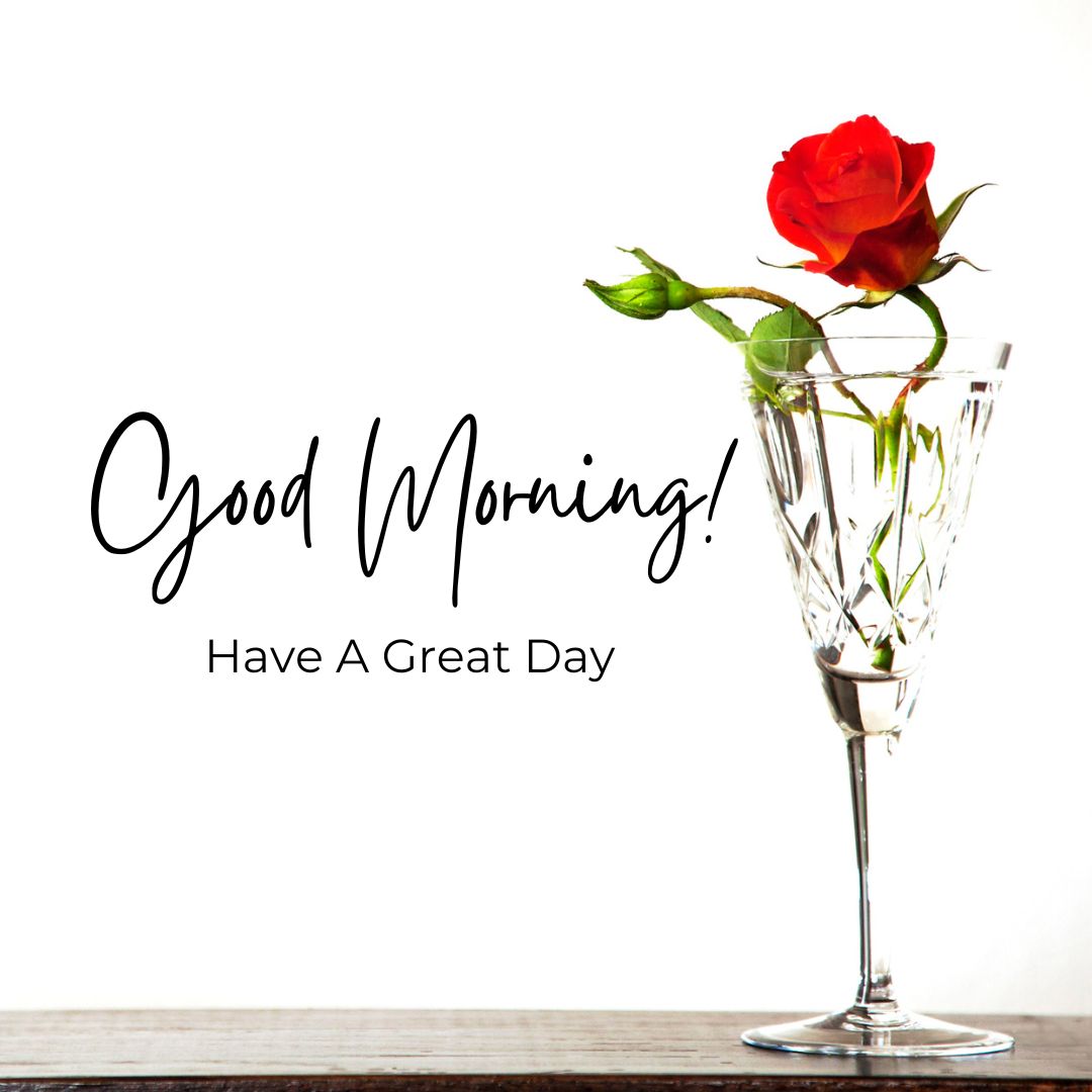 Romantic Good Morning Rose Images