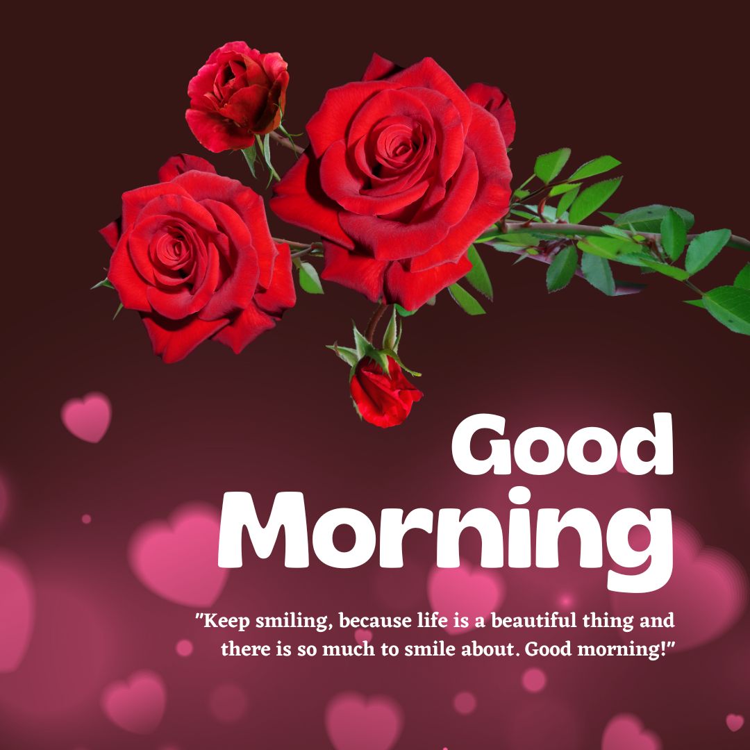 Romantic Good Morning Rose Images